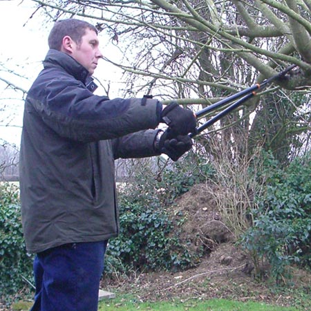 tony cross a r cross gardening